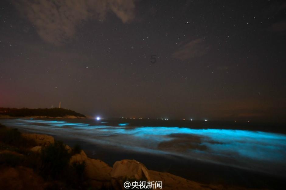 大叔钓鱼