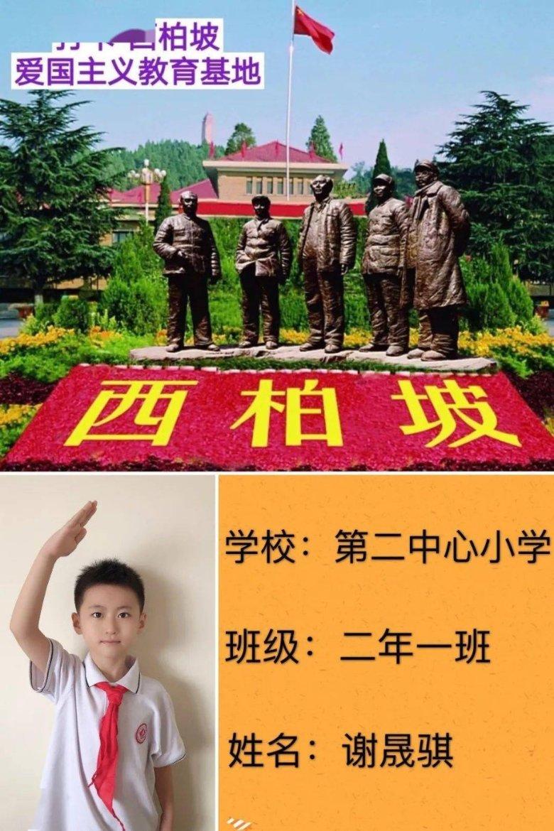 国际物流巨头在南京综保区(江宁)投运