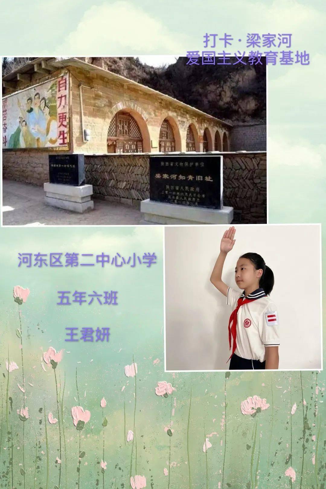 让动物飞一会