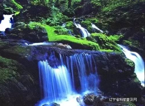 燃烧吧大脑免广告最新版