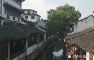 泰山被放鸽子！绯闻引援再走一位！徐江：郑达伦不想等，下家成都