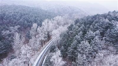 暗黑血统2